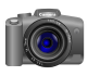 2011-12 in Pictures